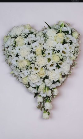 Mooskissen mit Rosen
